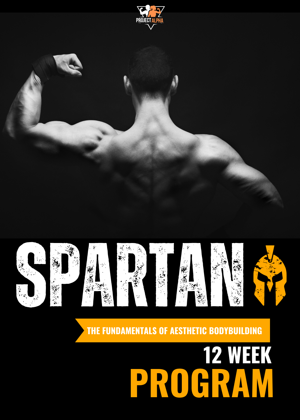 Spartan Fitness Program V3